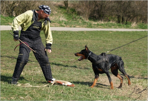 Training in Prague - 2. 4. 2008